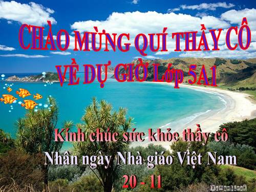 Tuần 14. Người liên lạc nhỏ