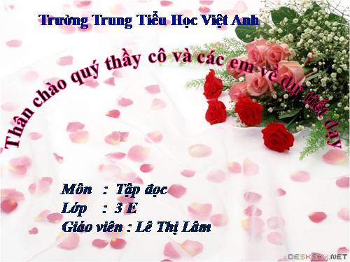 Tuần 17. Anh Đom Đóm