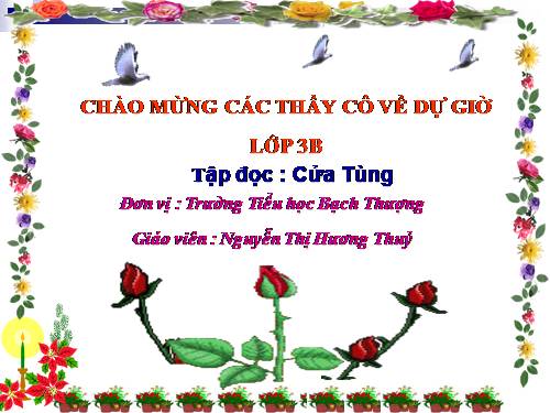 Tuần 13. Cửa Tùng