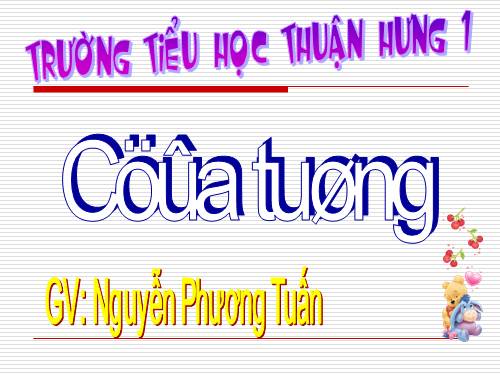 Tuần 13. Cửa Tùng