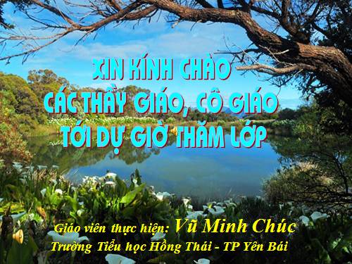 Tuần 12. Cảnh đẹp non sông