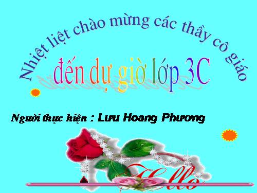 Tuần 13. Cửa Tùng