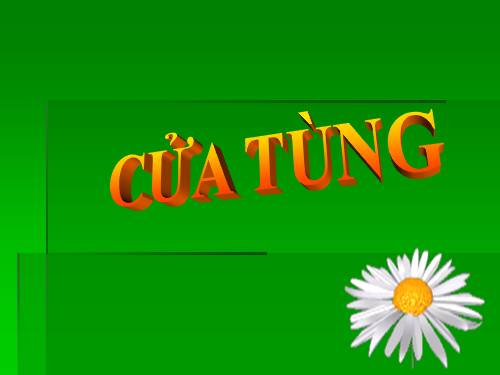 Tuần 13. Cửa Tùng