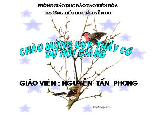 Tuần 7. Bận