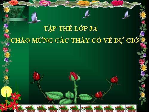 Tuần 13. Cửa Tùng