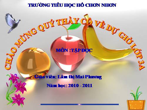 Tuần 10. Thư gửi bà