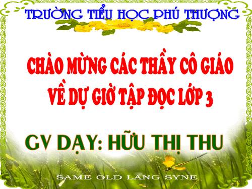 Tuần 33. Mặt trời xanh của tôi