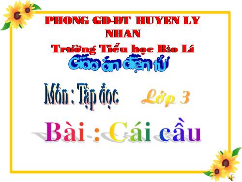 Tuần 22. Cái cầu