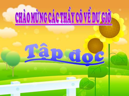 Tuần 28. Cuộc chạy đua trong rừng