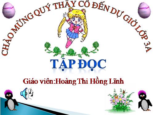 Tuần 33. Mặt trời xanh của tôi