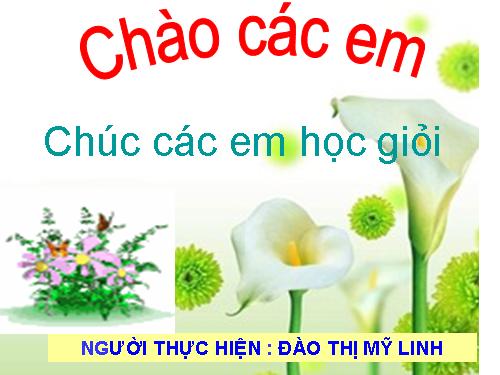 Tuần 17. Anh Đom Đóm