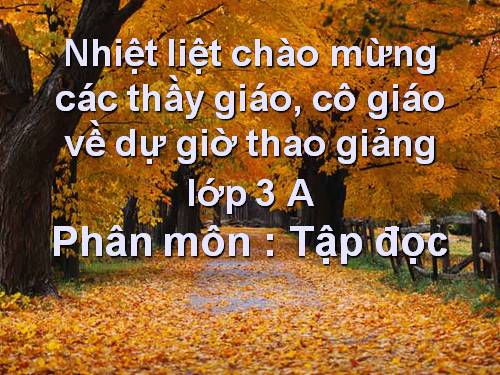 Tuần 24. Tiếng đàn