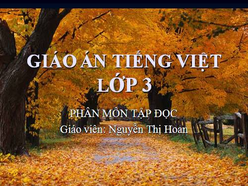 Tuần 24. Tiếng đàn