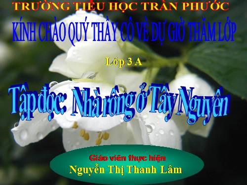 Tuần 15. Nhà rông ở Tây Nguyên