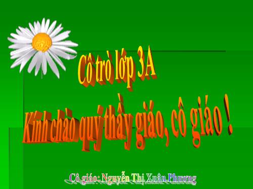 Tuần 13. Cửa Tùng