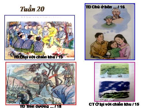 G110-TLDH-TV3-Tuần 20-21