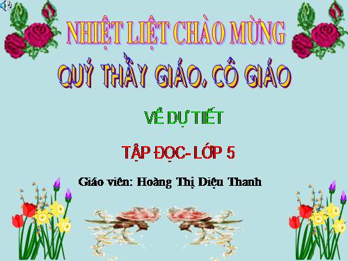 Tuần 13. Cửa Tùng