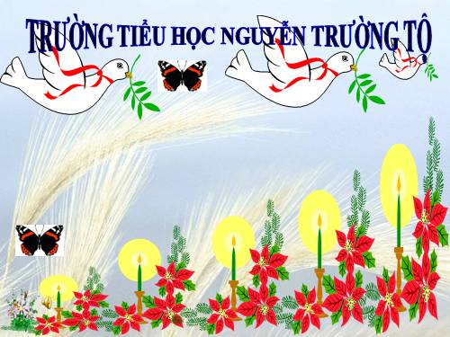 Tuần 15. Nhà rông ở Tây Nguyên