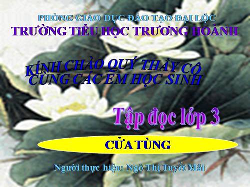 Tuần 13. Cửa Tùng