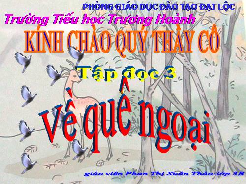 Tuần 16. Về quê ngoại