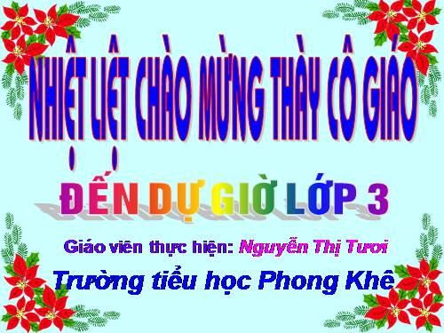 Tuần 13. Cửa Tùng