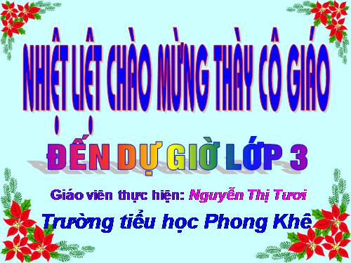 Tuần 13. Cửa Tùng