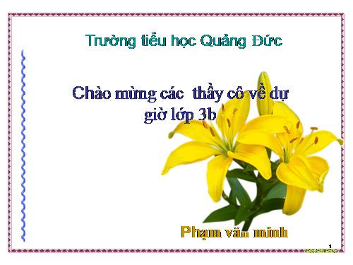 Tuần 14. Nhớ Việt Bắc