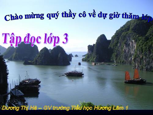 Tuần 13. Cửa Tùng