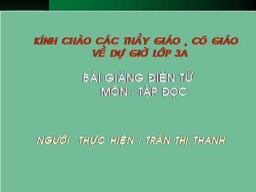 Tuần 13. Cửa Tùng