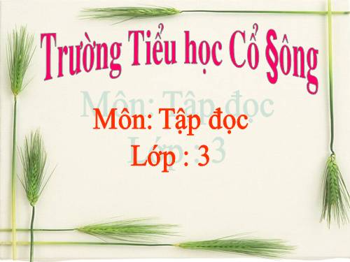 Tuần 30. Một mái nhà chung