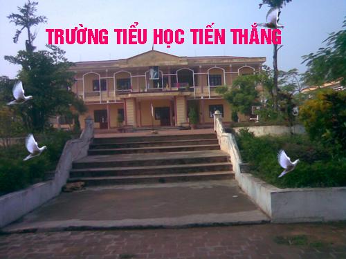 Tuần 4. Người mẹ