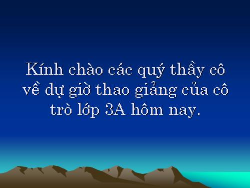 Tuần 13. Cửa Tùng