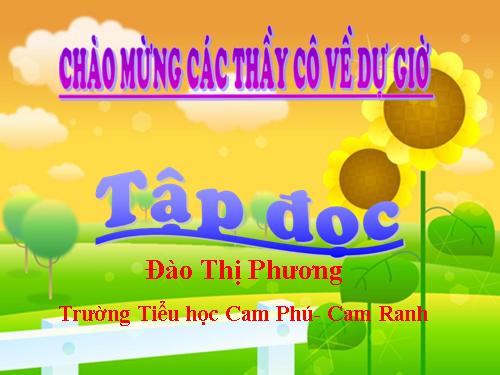 Tuần 28. Cuộc chạy đua trong rừng