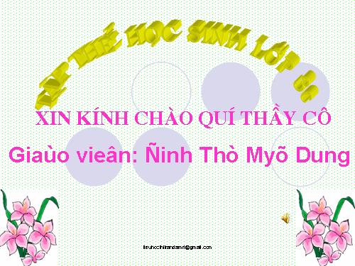 Tuần 22. Cái cầu