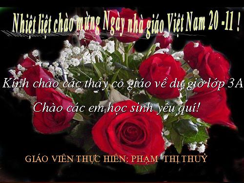 Tuần 13. Cửa Tùng