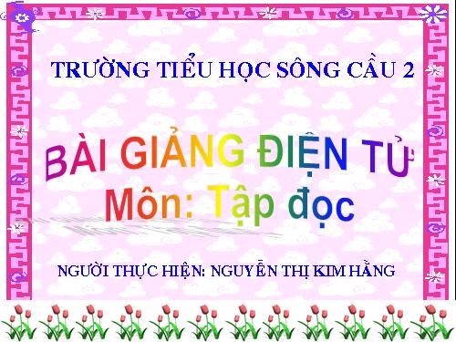 Tuần 13. Cửa Tùng