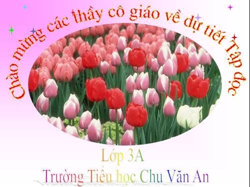 Tuần 8. Tiếng ru