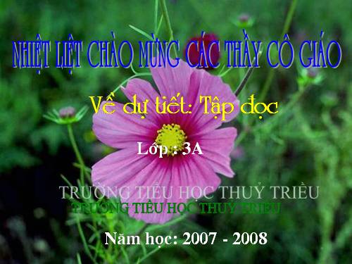 Tuần 4. Mẹ vắng nhà ngày bão