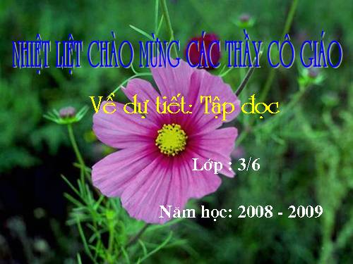 Tuần 4. Mẹ vắng nhà ngày bão