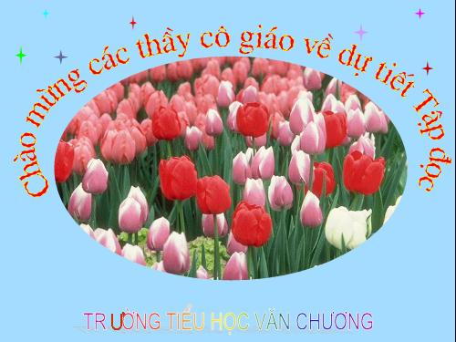 Tuần 25. Hội đua voi ở Tây Nguyên