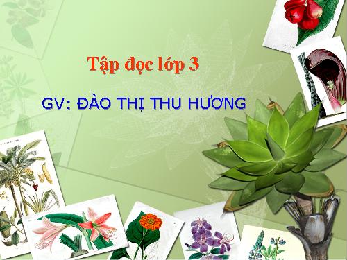 Tuần 30. Một mái nhà chung