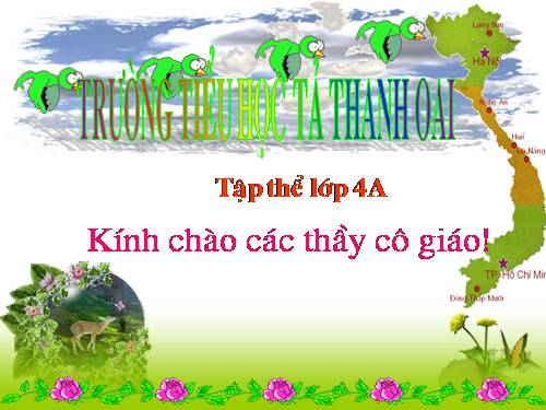 Chương II. Bài 5. Vẽ tự do bằng cọ vẽ, bút chì