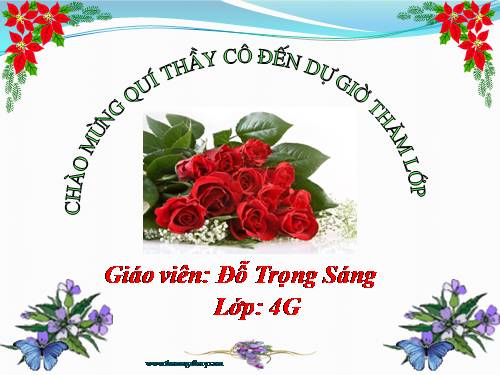 Chương V. Bài 6. Trình bày chữ đậm, nghiêng