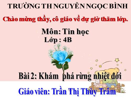 Chương IV. Bài 2. Khám phá rừng nhiệt đới