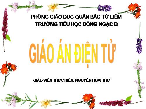 Chương II. Bài 3. Sao chép hình