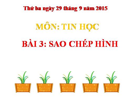 Chương II. Bài 3. Sao chép hình