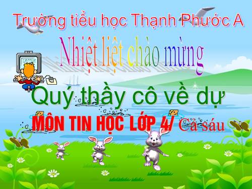 Chương II. Bài 6. Thực hành tổng hợp