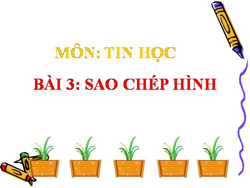 Chương II. Bài 3. Sao chép hình