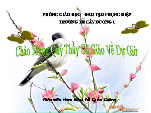 Chương III. Bài 2. Gõ từ đơn giản