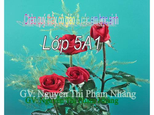 Chương V. Bài 6. Trình bày chữ đậm, nghiêng